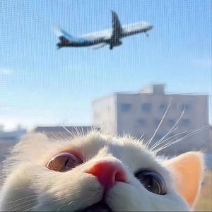 偷偷色无码av免费看
