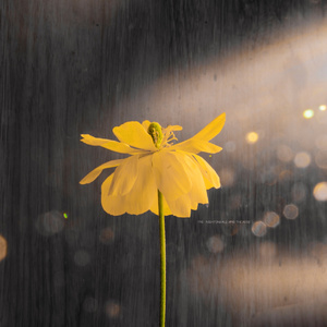 偷偷色无码av免费看
